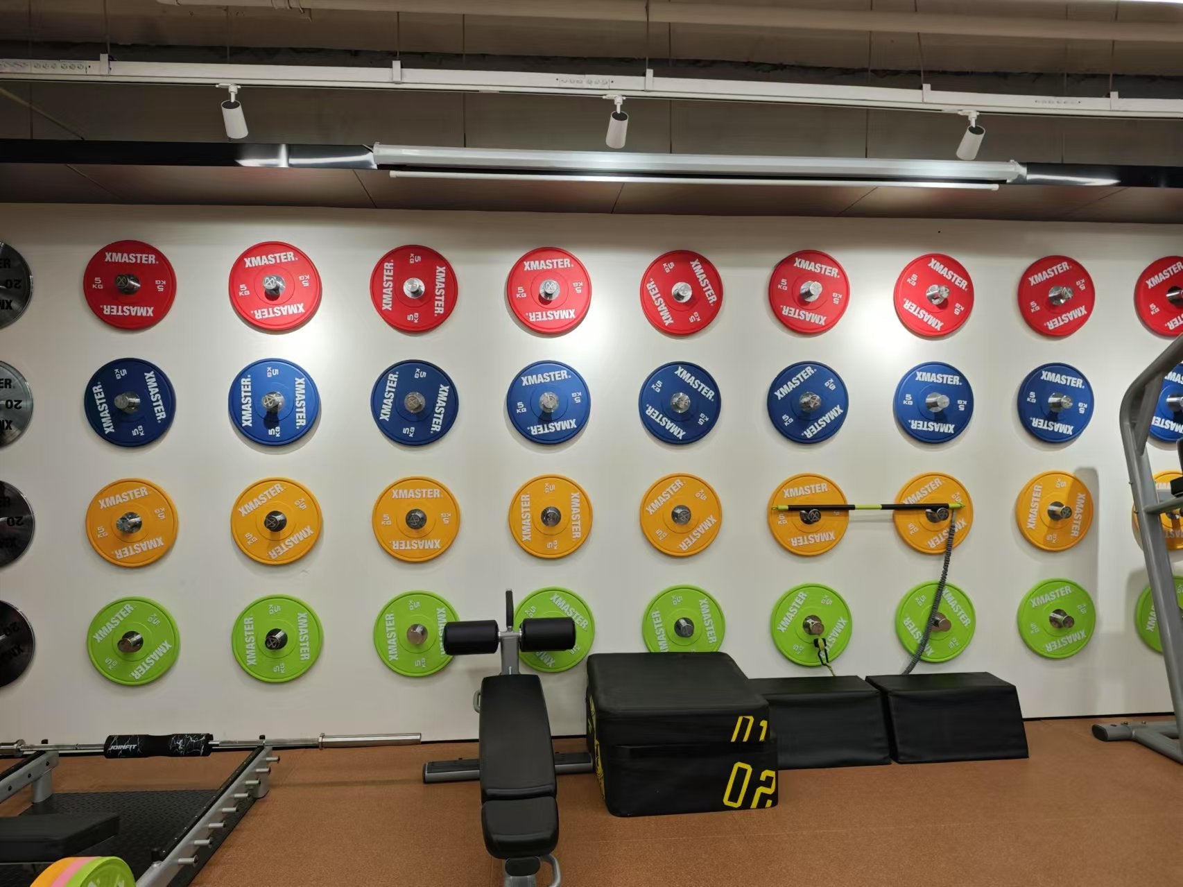 Plate Loaded vs Pin Loaded Machines: Which Is Better for Your Gym?