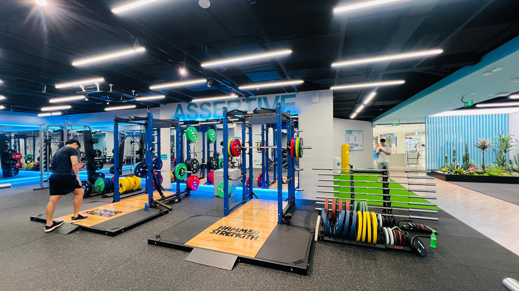 How Much Does It Cost to Open a Commercial Gym in 2026?
